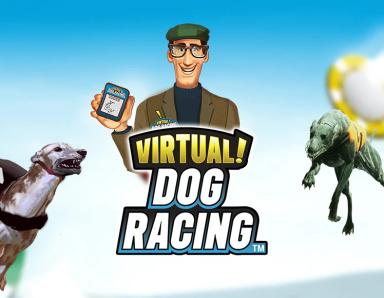 Virtual! Dog Racing_image_Playtech